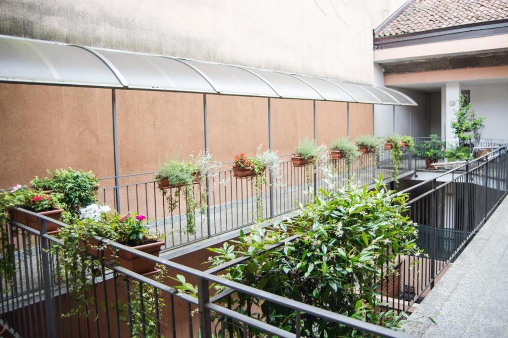 La Casolicchia Di Arona Exteriör bild